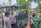 Kasat-Binmas-Polresta-Sidoarjo-Ajak-Maksimalkan-Hasil-Swasembada-Pangan-Kampung-Lombok