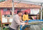 POLRESTA-SIDOARJO-|-Polisi-dan-Petani-di-Sedati-Wujudkan-Ketahanan-Pangan-Lewat-Budidaya-Ikan-Lele