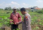 Bhabinkamtibmas-Desa-Suko,-Cek-Lahan-Ketahanan-Pangan-P2B-Tanaman-Singkong