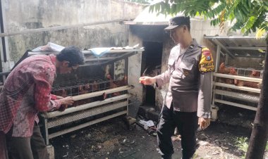 Bhabinkamtibmas-Tenggulunan-Cek-Motivasi-Warga-Ternak-Ayam-Petelur