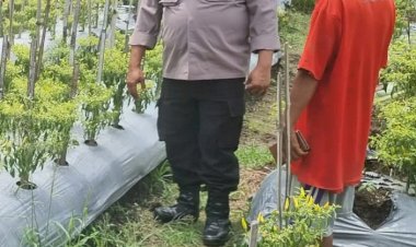 Dukung-Ketahanan-Pangan,-Polsek-Sidoarjo-Kota-Turun-ke-Warga