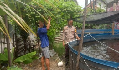 Polsek-Sedati-Apresiasi-Warga-Pranti-Manfaatkan-Lahan-Kosong-untuk-Budidaya-Lele