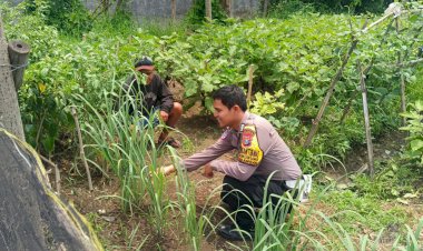 Cek-Pekarangan-Pangan-Bergizi,-Polsek-Gedangan-Dukung-Program-Asta-Cita-Presiden-RI