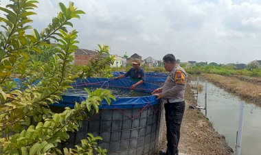 Bhabinkamtibmas-Desa-Jumputrejo-Tinjau-Program-Ketahanan-Pangan-Budidaya-Ikan-Nila