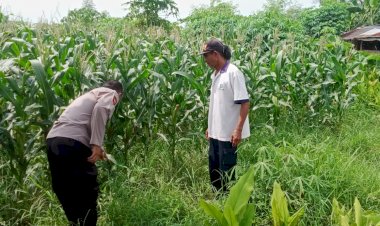Kapolsek-Tarik-Masifkan-Program-Sambang-Desa-Dukung-Ketahanan-Pangan-Nasional