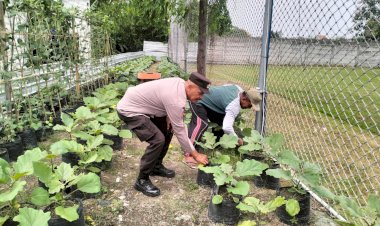 Bhabinkamtibmas-Desa-Entalsewu-Dukung-Program-Ketahanan-Pangan-Lewat-Pendampingan-Warga