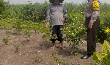Wujud-Polisi-Cinta-Petani,-Bhabinkamtibmas-Kedungboto-Implementasikan-Ketahanan-Pangan-di-Tingkat-Desa
