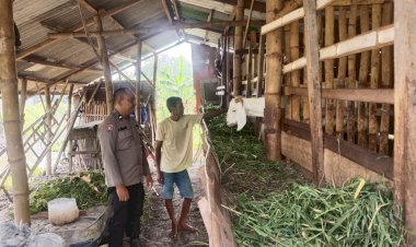 Cegah-Penyakit-Ternak-Sukseskan-Ketahanan-Pangan,-Bhabinkamtibmas-Sidokepung-Aktif-Pantau-Kesehatan-Kambing-Warga