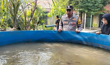 Polsek-Tanggulangin-Polresta-Sidoarjo-Dorong-Swasembada-Pangan-Lewat-Program-Pekarangan-Pangan-Bergizi-di-Desa-Ketapang