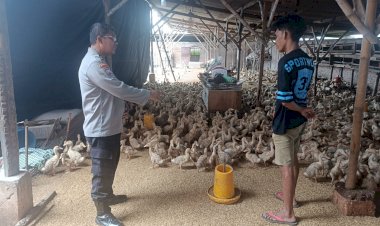 Polsek-Porong-Dorong-Ketahanan-Pangan-Polresta-Sidoarjo,-Kunjungi-Peternakan-Bebek-di-Pesawahan
