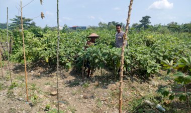 Kapolsek-Tanggulangin-Dukung-Ketahanan-Pangan-Nasional-Lewat-Optimalisasi-Peran-Bhabinkamtibmas