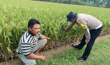 Bhabinkamtibmas-Waruberon-Sambang-Petani-Penggerak-Ketahanan-Pangan