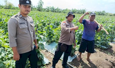 Dukung-Ketahanan-Pangan,-Polisi-Dampingi-Perawatan-Tanaman