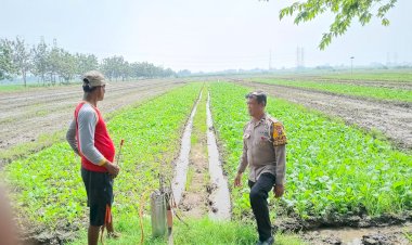 Bhabinkamtibmas-Desa-Seketi-Dorong-Ketahanan-Pangan-Melalui-Pekarangan-Bergizi