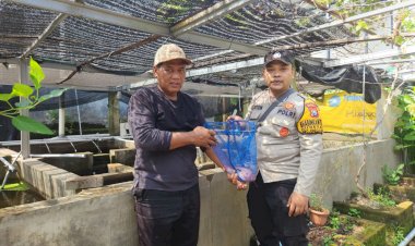 Bhabinkamtibmas-Ketajen-Tinjau-Budidaya-Ikan-Nila-Program-P2B