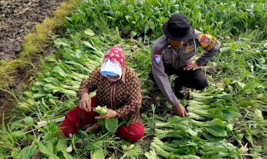 Polsek-Balongbendo-Dukung-Program-P2B-dengan-Kelola-Pekarangan