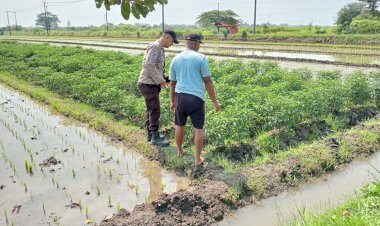 Polsek-Tarik-Polresta-Sidoarjo-Masifkan-Patroli-Ketahanan-Pangan-dengan-Sambang-Petani