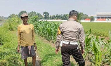 Sambang-Desa-Polsek-Tarik:-Sinergi-Polisi-dan-Warga-Majukan-Pertanian-Jagung