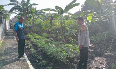 Bhabinkamtibmas-Polsek-Tulangan-Dukung-Swasembada-Pangan-Mandiri-Lewat-Program-Pekarangan-Bergizi