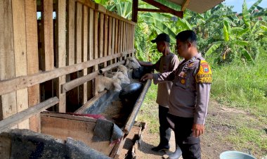 Anggota-Polsek-Tulangan-Pantau-Peternakan-Kambing-untuk-Ketahanan-Pangan-Bergizi