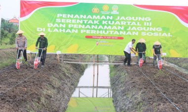 Tanam-Jagung-Serentak,-Forkopimda-Sidoarjo-Gandeng-Pesantren-Sukseskan-Ketahanan-Pangan