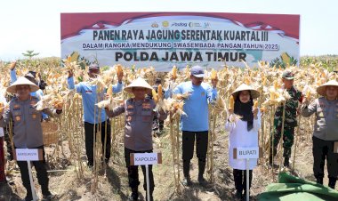 Komitmen-Wujudkan-Ketahanan-Pangan-Nasional,-Kapolda-Jatim-Bersama-Forkopimda-Banyuwangi-Gelar-Panen-Jagung-Serentak-1.446-Ton