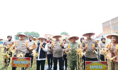 Polda-Jatim-Gelar-Panen-Raya-Jagung-Serentak-Kuartal-IV-di-Sidoarjo