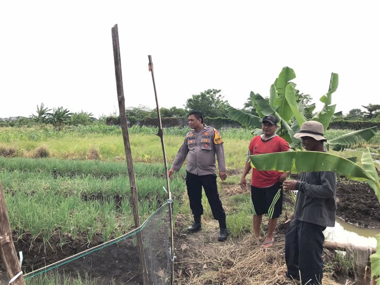 Bhabinkamtibmas Desa Punggul Bersama Warga Cek Lahan Ketahanan Pangan