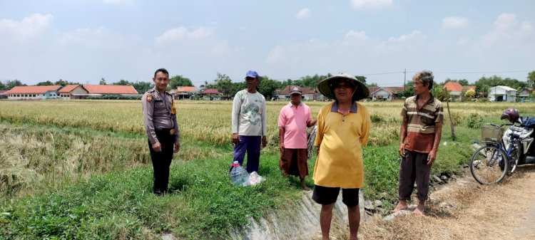 Dukung Ketahanan Pangan, Polsek Balongbendo Aktif Dampingi Warga