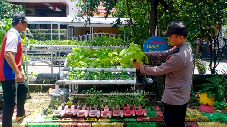 Polisi Apresiasi Warga MCG Kembangkan Sayuran Hidroponik
