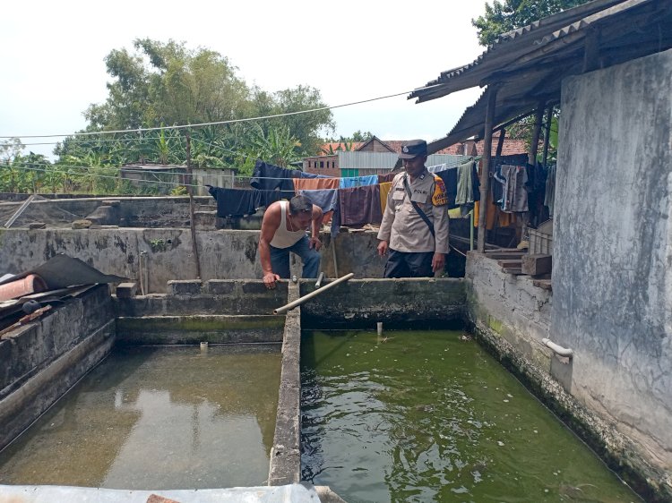 Warga Wonocolo Taman Manfaatkan Lahan Kosong Rumah untuk Budidaya Lele