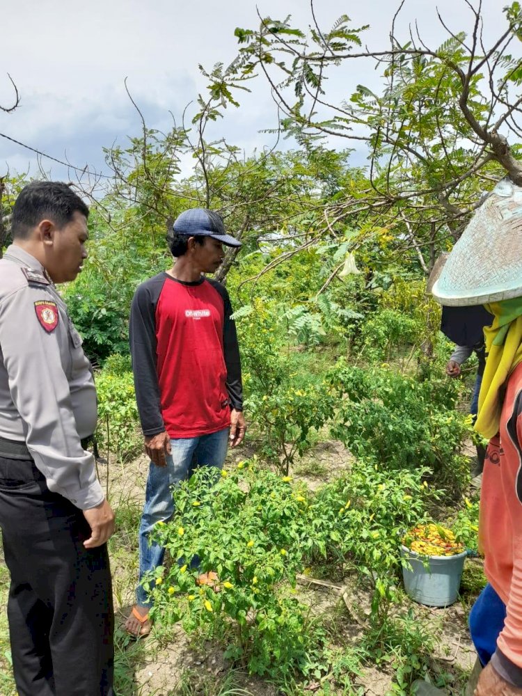 Bhabinkamtibmas Desa Permisan Koordinasi dengan Warga Terkait Program Pekarangan Pangan Bergizi