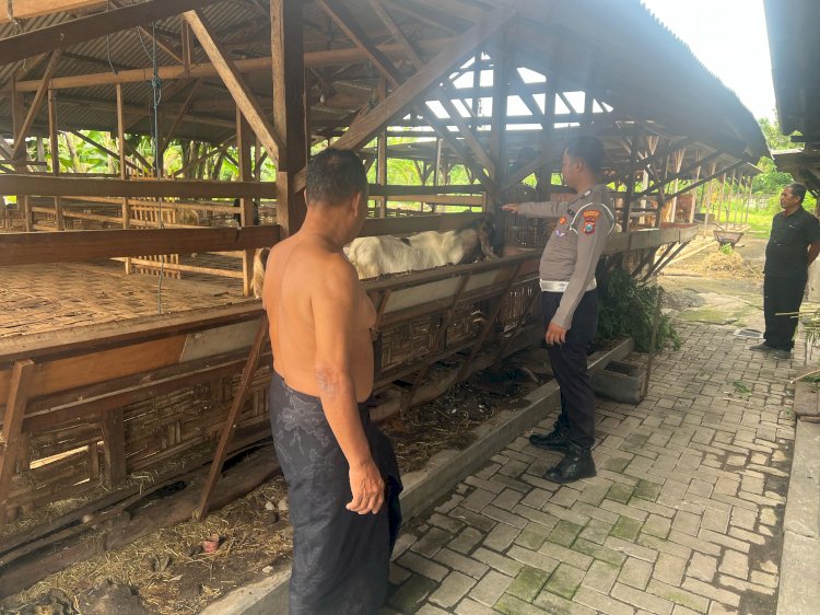 Bhabinkamtibmas Desa Suko Laksanakan Arahan Kapolsek Sukodono, Tinjau Ketahanan Pangan Peternakan Warga