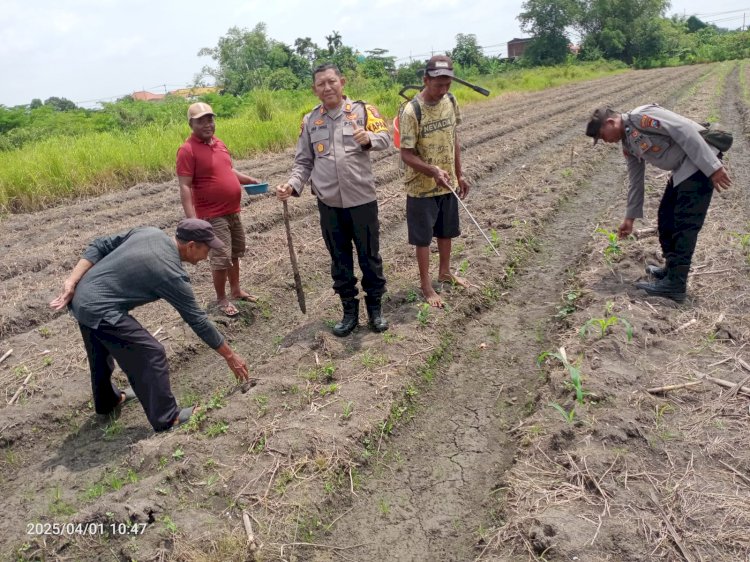 Bhabinkamtibmas Desa Kenongo Bersama Warga Bahas Pengembangan Swasembada Pangan Mandiri