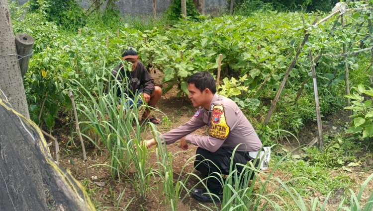 Cek Pekarangan Pangan Bergizi, Polsek Gedangan Dukung Program Asta Cita Presiden RI