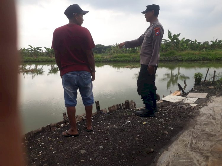 Dongkrak Ekspor Udang, Petani Tambak di Banjar Kemuning Didorong Tingkatkan Produksi