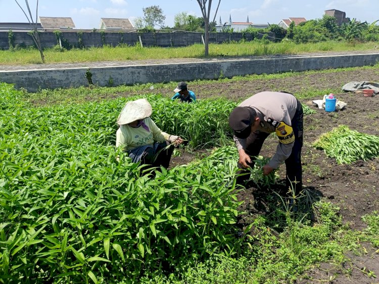 Bhabinkamtibmas Desa Kedungboto Dampingi Warga Kembangkan Lahan Produktif untuk Ketahanan Pangan