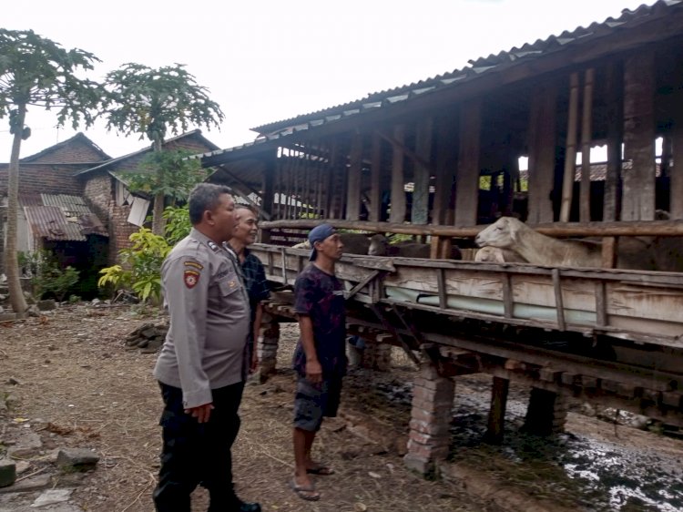 Bhabinkamtibmas Desa Sepande Dampingi Peternak Kambing dalam Program P2B, Dukung Swasembada Pangan Mandiri