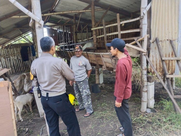 Upaya Ketahanan Pangan, Bhabinkamtibmas Sidokerto Polsek Buduran Tinjau Peternakan Kambing