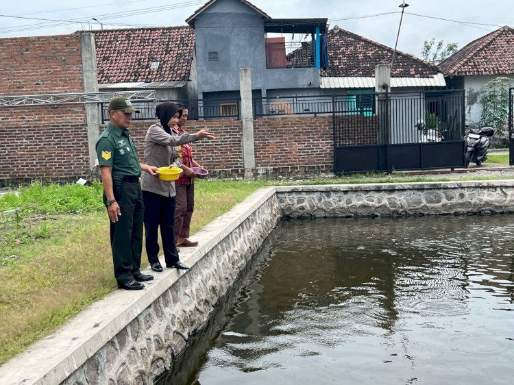 Tiga Pilar Wonoayu Kompak Tinjau Budidaya Ikan Gurami di Desa Mojorangagung