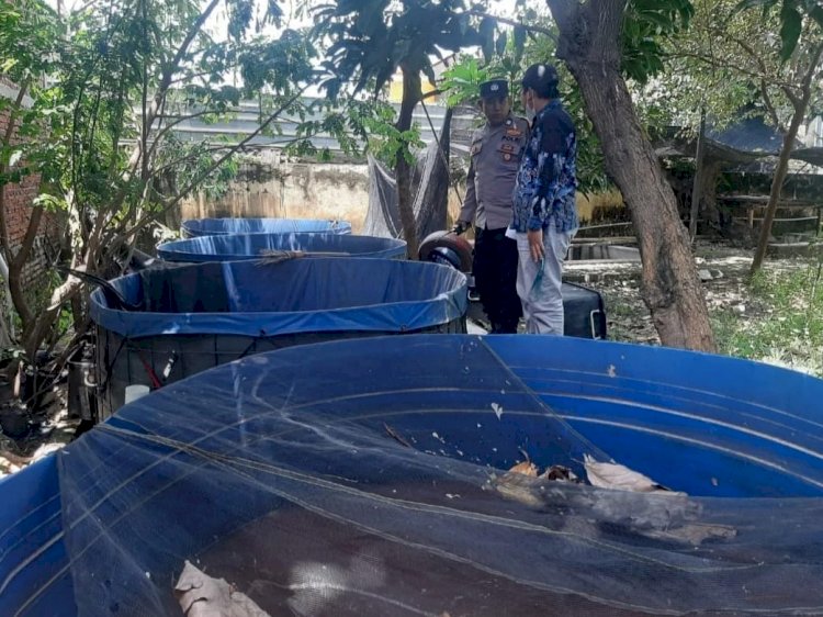 Bhabinkamtibmas Wedoro Dukung Ketahanan Pangan Lewat Budidaya Ikan Patin di Lahan Kosong