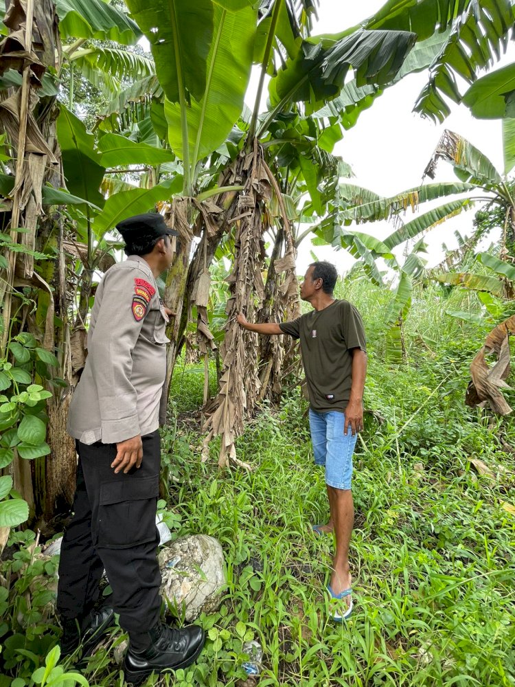 Polsek Taman Tinjau Progres Lahan Ketahanan Pangan Bergizi di Desa Jemundo