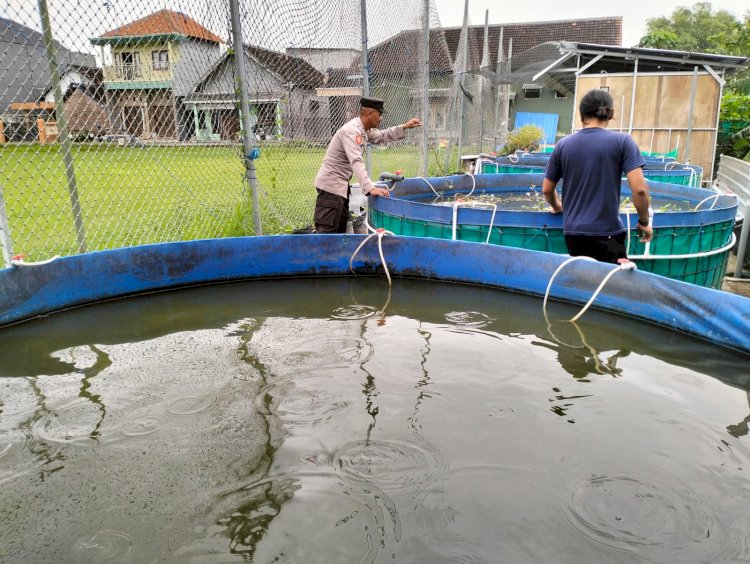 Bhabinkamtibmas Dorong Warga Entalsewu Manfaatkan Pekarangan Kosong untuk Budidaya Ikan Lele