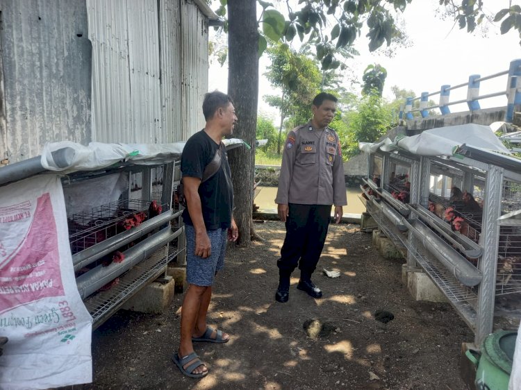 Polsek Candi Laksanakan Pengecekan Program Ketahanan Pangan Ternak Ayam Petelur di Desa Sugiwaras
