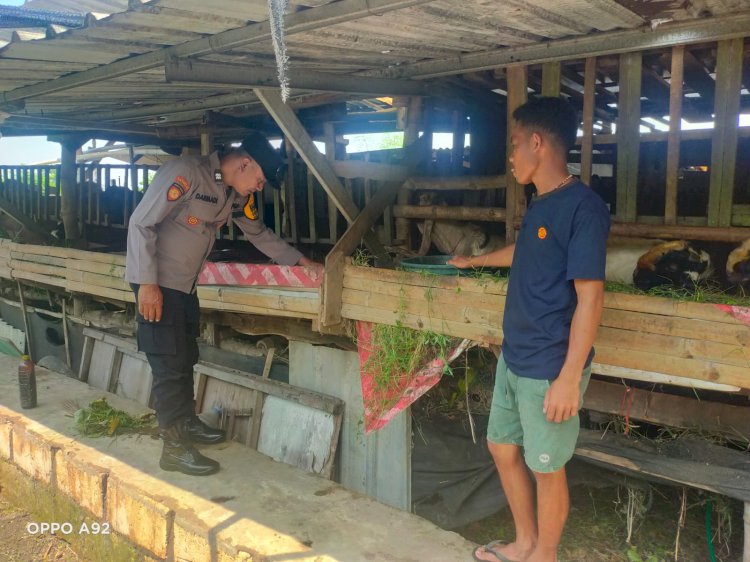 Dukung Ketahanan Pangan Nasional, Polsek Taman Sambang Desa ke Peternak Kambing