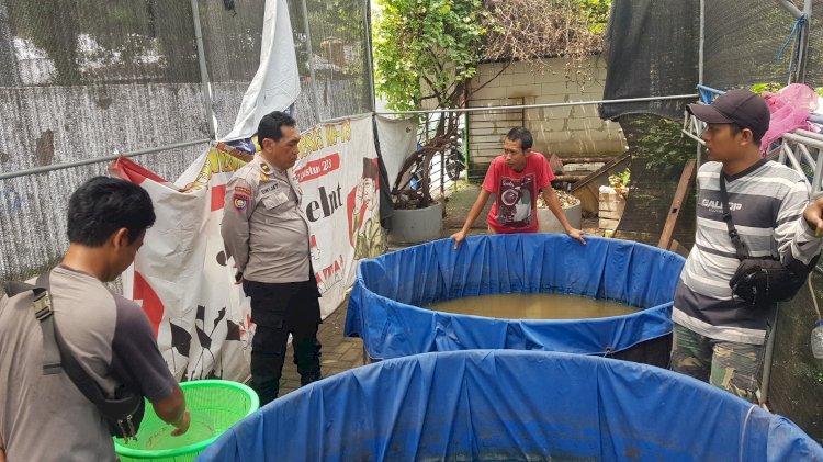 Bhabinkamtibmas Tinjau Lokasi Ketahanan Pangan, Dukung Budidaya Ikan Lele di Sawotratap