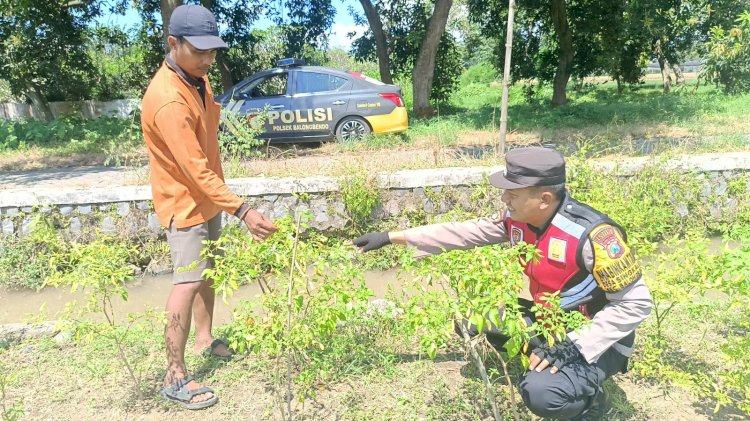Polsek Balongbendo Bersama Warga Desa Singkalan Koordinasi Kelola Lahan Hortikultura untuk Ketahanan Pangan