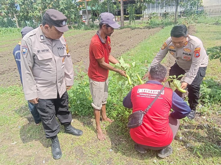 Polisi Cinta Petani, Kapolsek Porong Turun Langsung Cek Lahan Ketahanan Pangan