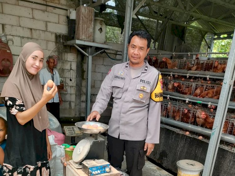 Polsek Gedangan Tinjau Peternakan Ayam, Dukung Ketahanan Pangan di Desa Keboananom
