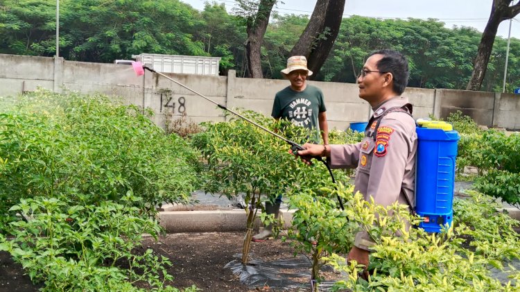Humanis Jalankan Ketahanan Pangan, Bhabinkamtibmas Bantu Pengelolaan Lahan